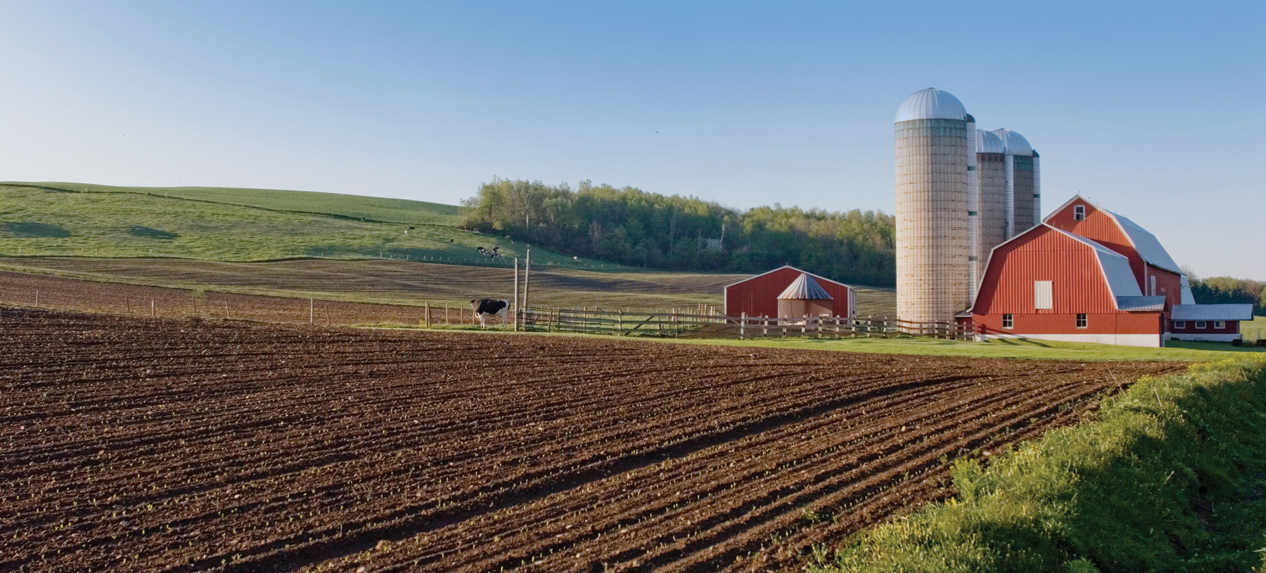 Farm Crop Insurance